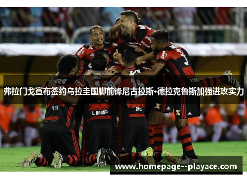 弗拉门戈宣布签约乌拉圭国脚前锋尼古拉斯·德拉克鲁斯加强进攻实力